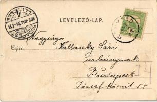 1902 Bonyhád, Római katolikus templom, orgona felé, belső. Kiadja Hoffer József