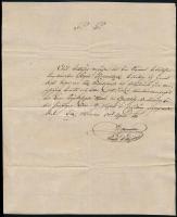 1816 Székesfehérvár, Diszpenzációs levél, Nagy Pál aláírásával, vízjeles papíron + levél