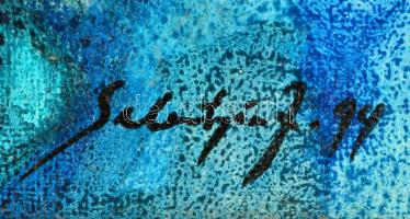 Sebestyén János (1957-): Érintés. Akril, farost, jelzett, keretben, 69×49 cm