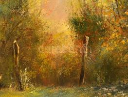 Boda Balázs Gábor (1954-): A természet aláírója. Olaj, farost, jelzett, keretben, 60×90 cm