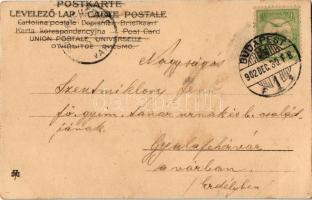 1902 New Year greeting card with pigs, champagne, drunk man s: H. Schubert