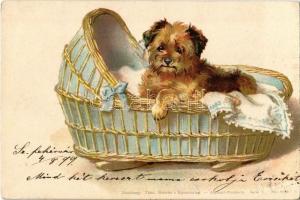 1899 Dog in a basket. Theo. Stroefers Kunstverlag. Aqarell-Postkarte Serie V. No. 5255. litho (EK)