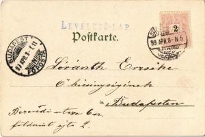 1899 Dog in a basket. Theo. Stroefer's Kunstverlag. Aqarell-Postkarte Serie V. No. 5255. litho ...