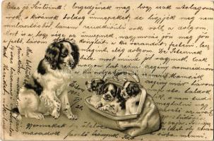 1902 Dogs in a bag. Emb. litho (EK)