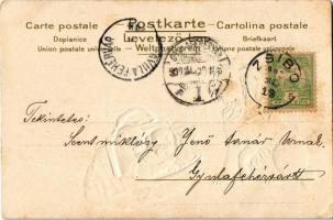 1902 Dogs in a bag. Emb. litho (EK)