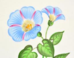 Herendi virág mintás tál, kézzel festett, jelzett, apró kopásnyomokkal, 26×24 cm