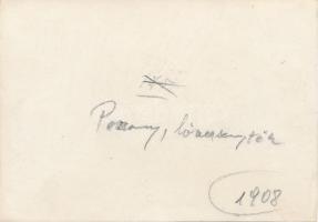 1908 Pozsony, Pressburg, Bratislava; Lóverseny tér, előkelő urak / horse racing track, gentlemen. ph...