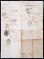 1833 Bajor útlevél több bejegyzéssel. Rézmetszet. 30x41 cm