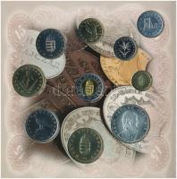 1998. 50f-200Ft (10xklf) forgalmi sor dísztokban + 1998. 100Ft alpakka "1848-1849. Szabadsághar...