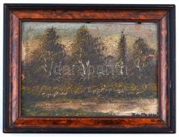 Olvashatatlan jelzéssel: Erdőrészlet. Olaj, karton, fa keretben, 11,5×16 cm