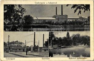 1948 Szerencs, cukorgyár, Rákóczi park (fa)