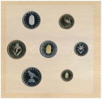 2008. 1Ft-100Ft 7klf db + Mátyás denár Ag fantáziaverete "Reneszánsz emlékév" dísztokos fo...