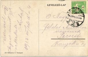 1913 Budapest XII. Svábhegy, Fogaskerekű Városkúti vasútállomása, Város-kút forrás