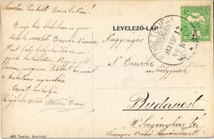 1913 Szigetújfalu, Fő utca, üzlet. Temler kiadása