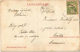 1908 Bőny, Római katolikus, evangélikus és református templomok, Nagyvnedéglő