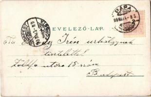 1899 (Vorläufer!) Pápa, Zsinagóga, Református főiskola, színház, Honvéd emlék szobor, Római katoliku...