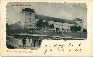1901 Zsámbék, gróf Zichy kastély. Fantus Dávid kiadása