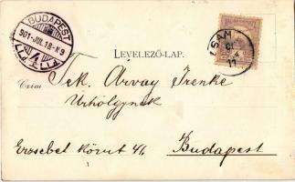 1901 Zsámbék, gróf Zichy kastély. Fantus Dávid kiadása