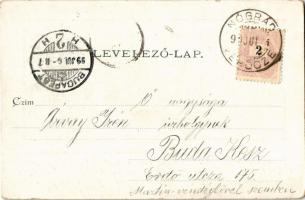 1899 (Vorläufer!) Verőce, Nógrádverőce; Duna részlet kilátással a Visegrádi hegyekre, evezősök edzen...