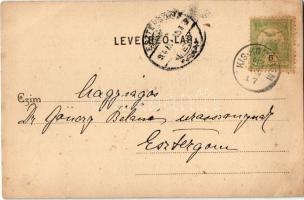 1904 Kiskomárom (Zalakomár), Községi Tanácsterem, Kis-Komárom és Vidéke keresztény fogyasztási szöve...