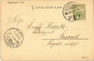 1905 Nagyszeben, Hermannstadt, Sibiu; látkép templomokkal. Lichtdruck v. Jos. Drotleff. Verlag G. A....