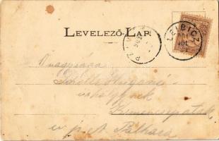 1901 Leibic, Leibicz, Leibitz, Lubica; Híd utca, Kénfürdő télen, Sas szálloda. Fábry Gusztáv kiadása...