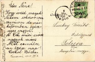 1910 Temesvár, Timisoara; Erdőőri szakiskola, Vadászerdő (Újszentes) /  Dumbravita, forest guard sch...