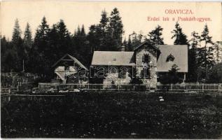 1915 Oravica, Oravita; Erdei lak a Puskáshegyen / forest house on Puscasu Mare + "Katonai Ellenőrző Bizottság Versecz"