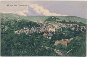 Segesvár, Schässburg, Sighisoara; látkép. Kiadja Fritz Teutsch / general view (ázott sarkak / wet corners)