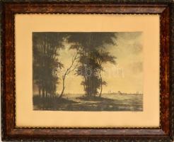 Paulovits Pál (1892-1975): Eső után. Színezett rézkarc (körbevágva), papír, jelzett (utólagosan Zádo...