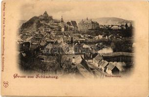 Segesvár, Schässburg, Sighisoara; látkép a városházával. Kiadja Fritz Teutsch / Totalansicht / general view, town hall (EK)