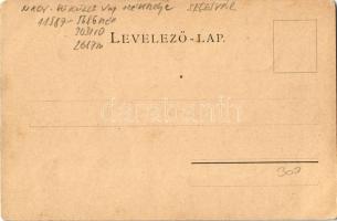 Segesvár, Schässburg, Sighisoara; látkép a városházával. Kiadja Fritz Teutsch / Totalansicht / gener...