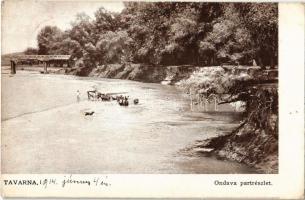 1914 Tavarna, Tovarné (Varannó);  Ondava part részlete, gulya itatása, híd / Ondava riverside, drinking cattle, bridge