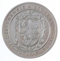 Bognár György (1944-) 1984. "MÉE Gyöngyösi Csoport - Gyöngyös 1334-1984" jelzett Ag emléké...