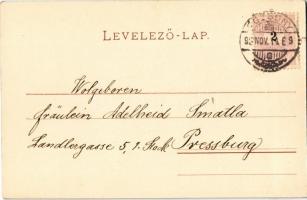 1899 (Vorläufer!) Pozsony, Pressburg, Bratislava; Grassalkovich tér, Frigyes főherceg palota, üzlet ...