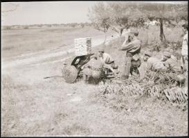 cca 1942 Thöresz Dezső (1902-1963) békéscsabai gyógyszerész és fotóművész szolgálatot teljesített eg...