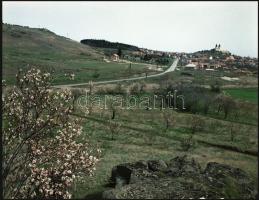 1967 Tihanyi félszigetről készült felvétel sorozat, 13 db szabadon felhasználható vintage negatív, 6...