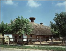 1967 Tihanyi félszigetről készült felvétel sorozat, 13 db szabadon felhasználható vintage negatív, 6...