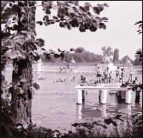 1967 Tihanyi félszigetről készült felvétel sorozat, 13 db szabadon felhasználható vintage negatív, 6...