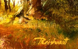 Reinhardt István (1936-): Tavaszi rét. Olaj, farost, jelzett, keretben, 30×40 cm