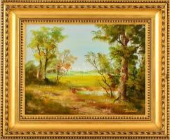 Reinhardt István (1936-): Tavaszi rét. Olaj, farost, jelzett, keretben, 30×40 cm
