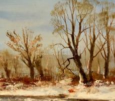 Reinhardt István (1936-): Tél. Olaj, farost (festék hibával), jelzett, keretben, 30×40 cm