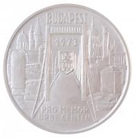 Csúcs Viktória (1934-) 1973. Pest-Buda-Óbuda egyesítésének centenáriuma / Pro memor urbe centen Ag emlékérem (25,42g/0.800/42,5mm) T:1-