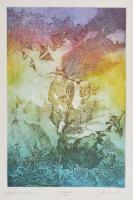 Egresi Zsuzsa (1954-): Lepkék lovagja. Színes rézkarc, papír, jelzett, üvegezett keretben, 29×19 cm