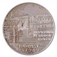 Asszonyi Tamás (1942-) 1973. "MÉE IV. Vándorgyűlése Budapest / Pest, Buda, Óbuda egyesítésének ...