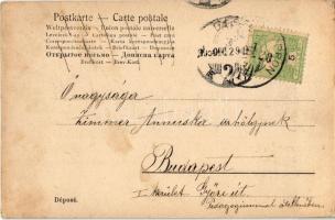 1905 Vulkapordány, Vulka-Pordány, Wulkaprodersdorf; Fő utca, Max Zollschon üzlete / Hauptstrasse, Ge...