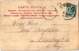 1902 Wien, Vienna, Bécs; Herzlichen Glückwunsch zum neuen Jahre, Fleischerzunft, Metzger / butcher g...