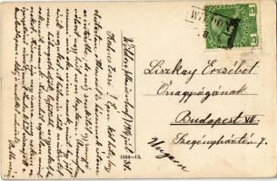 Wildon (Steiermark), Franz Herresch Kunst- und Walzenmühle und Elektrizitätswerk Taberhof, Gut Spind...