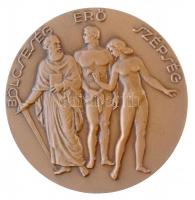 Reményi József (1887-1977) 1949. A Magyarországi Szabadkőművesség 200 Éves Fennállása Emlékére / Bölcseség - Erő - Szépség kétoldalas Br emlékérem, peremén 103-ös sorszámmal (74,68g/60mm) T:1- / Hungary 1949. 200th Anniversary of the Hungarian Freemasonry two-sided commemorative Br medallion with serial number 103 on edge, Unsigned József Reményi (74,68g/60mm) C:AU