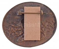 1919. "Vasas ne hagyd magad!" Br sapkajelvény Szign.: Sződy Szilárd (43x52mm) T:2 / Hungar...